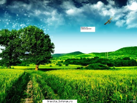 My HILL - e dealu meu uite - Joc pe forum