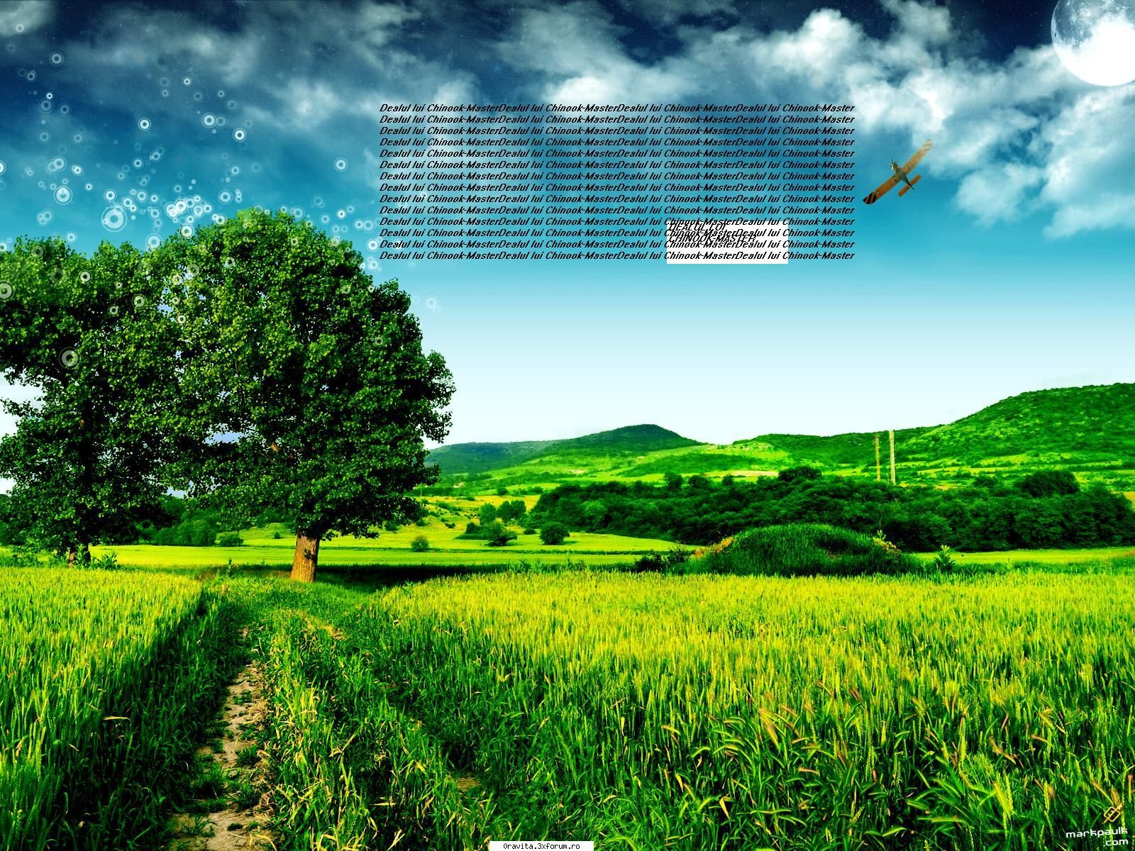 My HILL - nu scrie ca e al tau.... dar la mine scrie - Joc pe forum